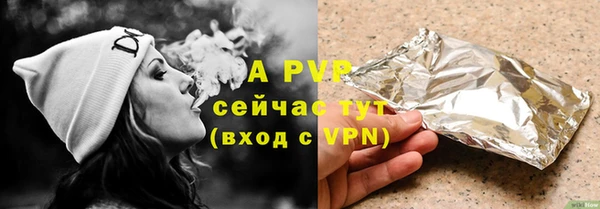 ГАЛЛЮЦИНОГЕННЫЕ ГРИБЫ Елабуга