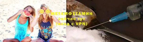 ГАЛЛЮЦИНОГЕННЫЕ ГРИБЫ Елабуга