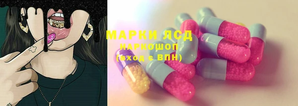 спиды Елизово