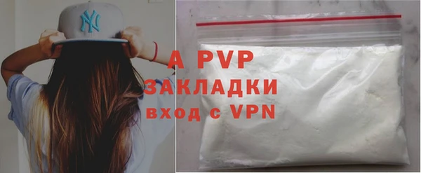 ГАЛЛЮЦИНОГЕННЫЕ ГРИБЫ Елабуга