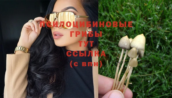 спиды Елизово