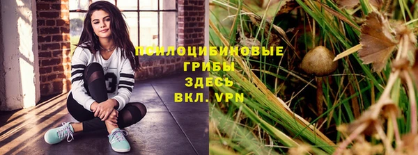 гашиш Ельня