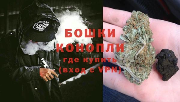 PSILOCYBIN Заволжск