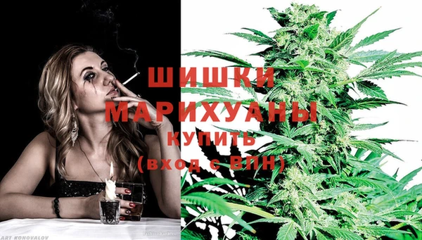 ГАЛЛЮЦИНОГЕННЫЕ ГРИБЫ Елабуга