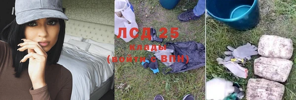 ГАЛЛЮЦИНОГЕННЫЕ ГРИБЫ Елабуга