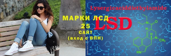 ГАЛЛЮЦИНОГЕННЫЕ ГРИБЫ Елабуга