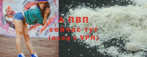 ГАЛЛЮЦИНОГЕННЫЕ ГРИБЫ Елабуга
